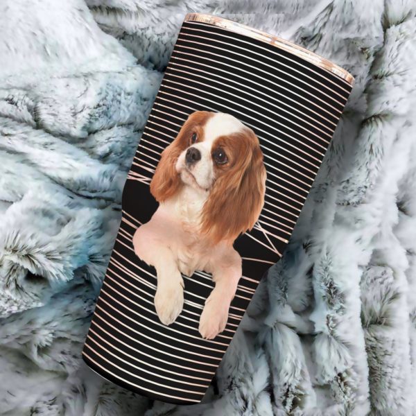 Cavalier King Charles Spaniel Cavalier In Line Stainless Steel Insulated Tumbler 20oz Cup